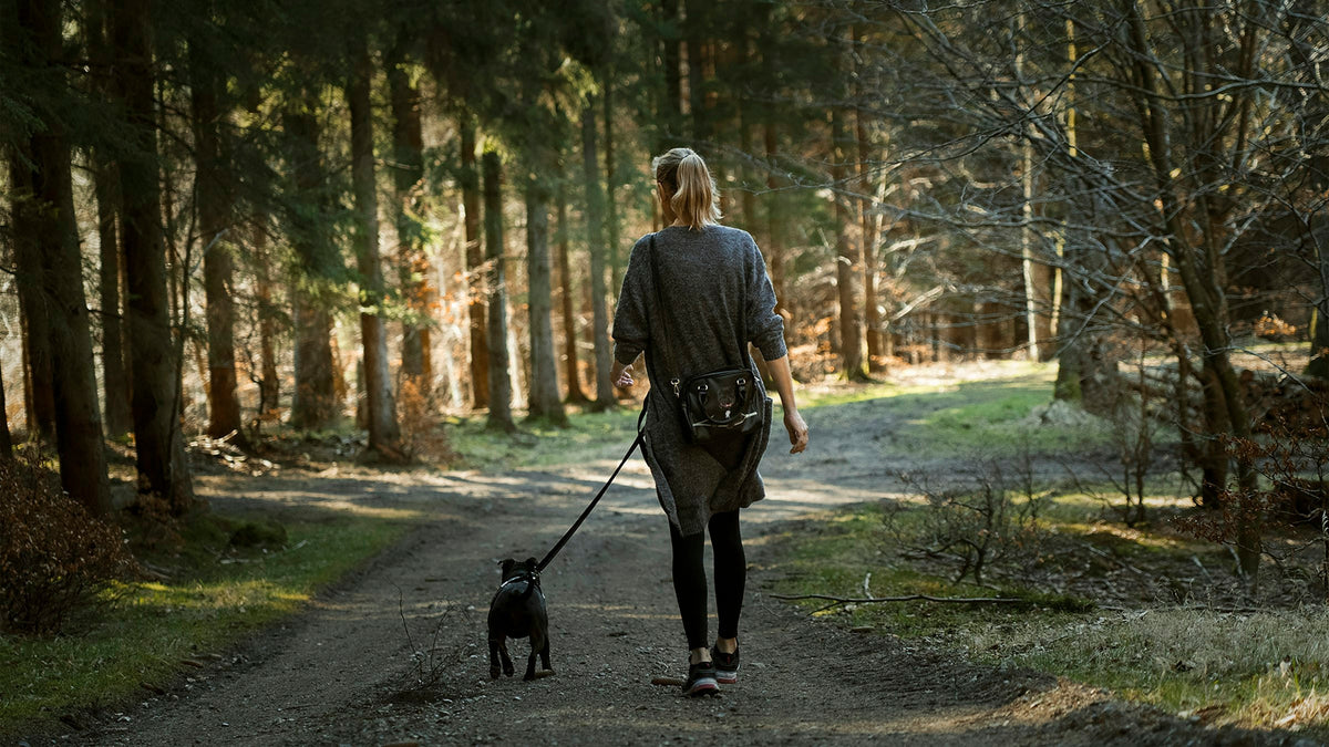Kvinna går med sin hund på en skogsväg