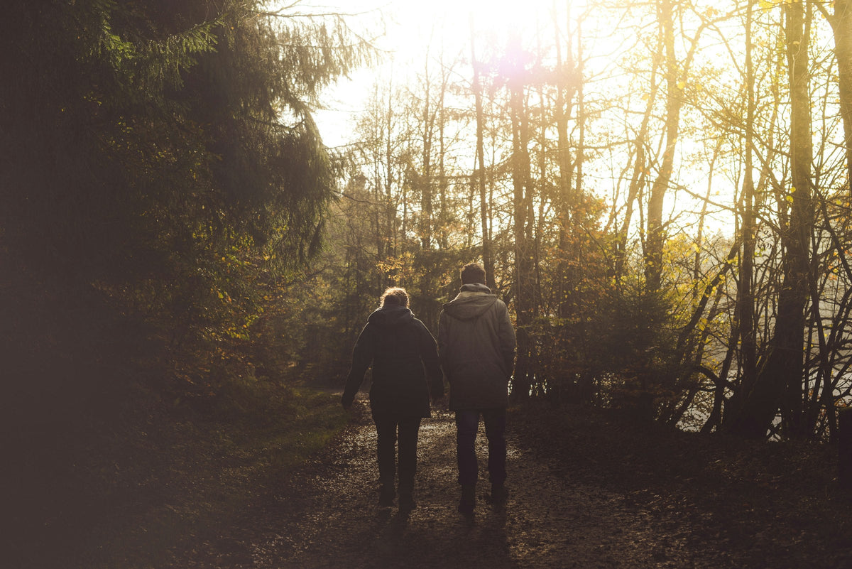 Par promenerar i skogen i motljus
